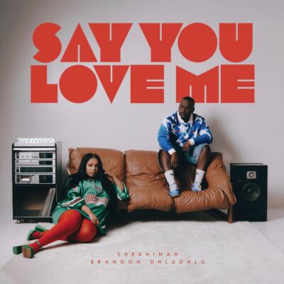 Say You Love Me ft. Brandon Dhludhlu